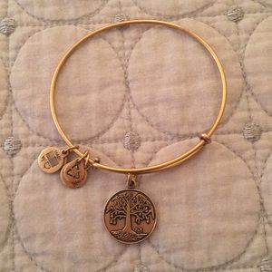 Alex and Ani bracelet
